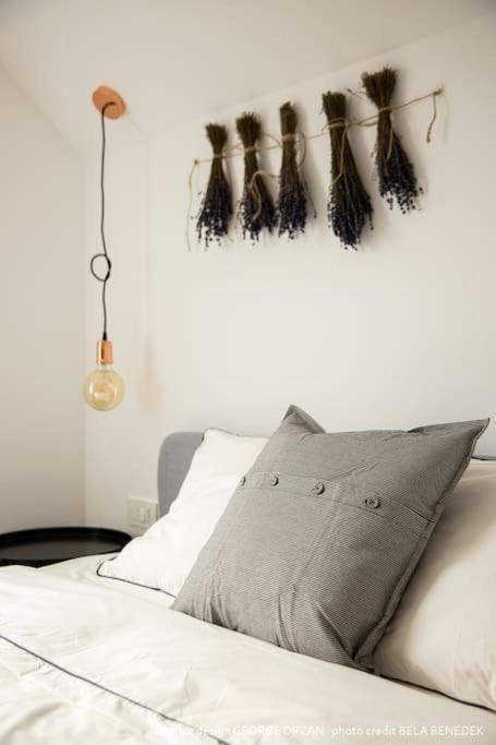 Casa269B - Cozy House With Scandinavian Design Moieciu de Jos Exteriör bild